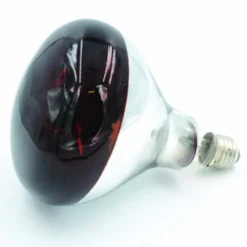 GAUN AMPOULE POUR ELEVEUSE 100W