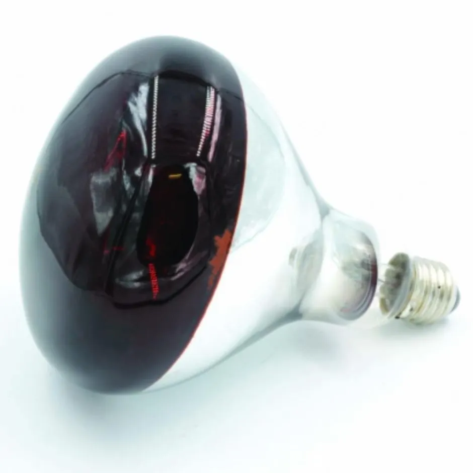 GAUN AMPOULE POUR ELEVEUSE 100W
