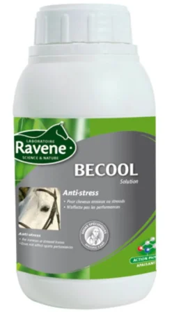 RAVENE ANTI STRESS BECOOL 500ML