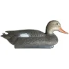 TERZEO CHASSEURS APPELANT CHIPEAU FEMELLE