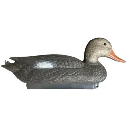 TERZEO CHASSEURS APPELANT CHIPEAU FEMELLE