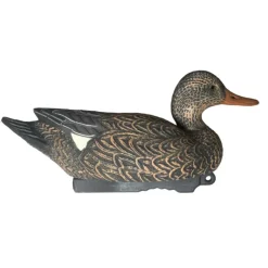 TERZEO CHASSEURS APPELANT CHIPEAU FEMELLE HD