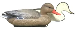 TERZEO CHASSEURS APPELANT COLVERT FEMELLE MOUSSE
