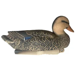 TERZEO CHASSEURS APPELANT COLVERT FEMELLE HD
