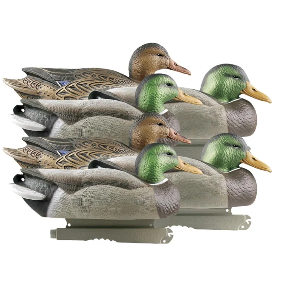 GREENHEAD APPELANT COLVERT LIFE SIZE 4M+2F