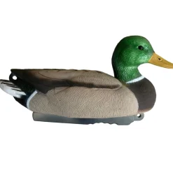 TERZEO CHASSEURS APPELANT COLVERT MÂLE HD