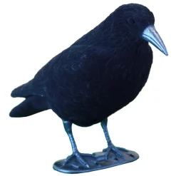 TERZEO CHASSEURS APPELANT CORBEAU FLOQUE