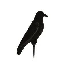 TERZEO CHASSEURS APPELANT CORBEAU FLOQUE SUR PIQUE