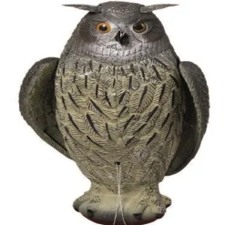 TERZEO CHASSEURS APPELANT GRAND DUC AILE BATTANTE