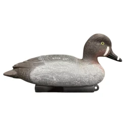 TERZEO CHASSEURS APPELANT MILOUIN FEMELLE