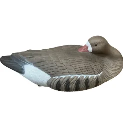 TERZEO CHASSEURS APPELANT OIE DORMEUSE