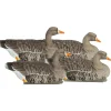 GREENHEAD APPELANT OIE RIEUSE FLOATER XD X4