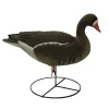 TERZEO CHASSEURS APPELANT OIE RIEUSE HD SUR PIED