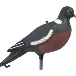TERZEO CHASSEURS APPELANT PIGEON HD SANS PATTES