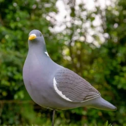 TERZEO CHASSEURS APPELANT PIGEON ULTRA HD