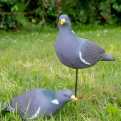 TERZEO CHASSEURS APPELANT PIGEON ULTRA HD