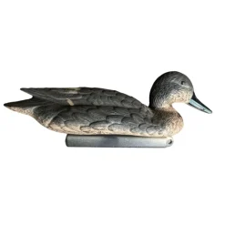 TERZEO CHASSEURS APPELANT PILET FEMELLE