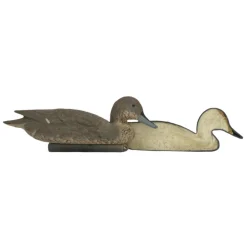 TERZEO CHASSEURS APPELANT PILET FEMELLE MOUSSE