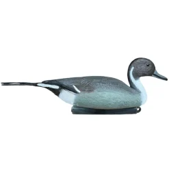 TERZEO CHASSEURS APPELANT PILET MALE