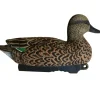TERZEO CHASSEURS APPELANT SARCELLE FEMELLE HD