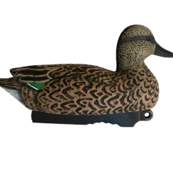 TERZEO CHASSEURS APPELANT SARCELLE FEMELLE HD