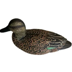 TERZEO CHASSEURS APPELANT SARCELLE FEMELLE HD