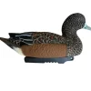 TERZEO CHASSEURS APPELANT SIFFLEUR FEMELLE HD