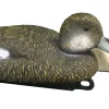 TERZEO CHASSEURS APPELANT SIFFLEUR FEMELLE MOUSSE