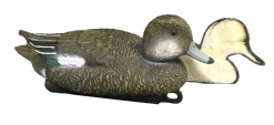 TERZEO CHASSEURS APPELANT SIFFLEUR FEMELLE MOUSSE