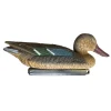 TERZEO CHASSEURS APPELANT SOUCHET FEMELLE