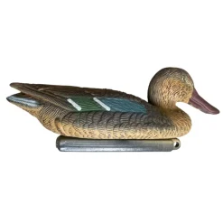 TERZEO CHASSEURS APPELANT SOUCHET FEMELLE