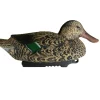 TERZEO CHASSEURS APPELANT SOUCHET FEMELLE HD