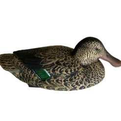 TERZEO CHASSEURS APPELANT SOUCHET FEMELLE HD