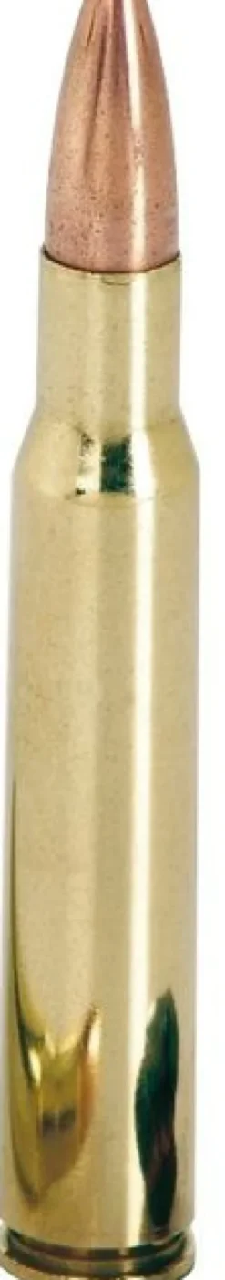 WINCHESTER BALLES 30-06 POWERMAX BD 180GR