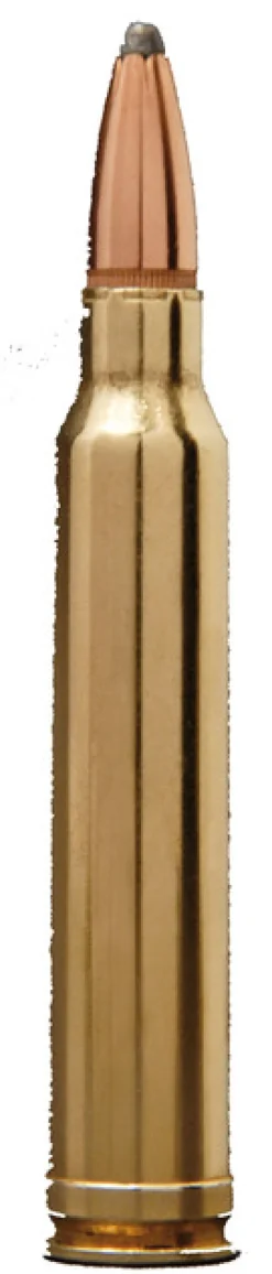 WINCHESTER BALLES 30-06 PP 180GR