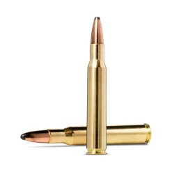NORMA BALLES 30-06 WHITETAIL 180GR