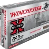 WINCHESTER BALLES 243WIN PP 100GR