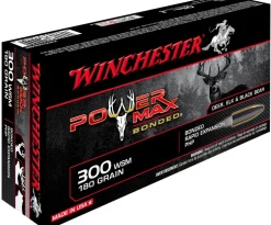 WINCHESTER BALLES 300WM POWER MAX 180GR