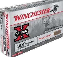 WINCHESTER BALLES 300WM PP 150GR