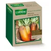 CARNEAU BETTERAVE JAUNE DE VAURIAC 0,25 KG