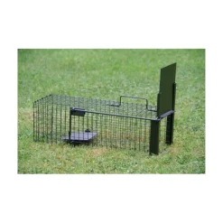 HENON BOITE A RAT 1 ENTREE 16.5X16.5X50