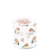 AMBIENTE BOUGIE FAMILLE DOISEAUX PM