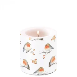 AMBIENTE BOUGIE FAMILLE DOISEAUX PM