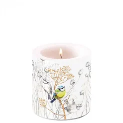 AMBIENTE BOUGIE PETITS OISEAUX PM