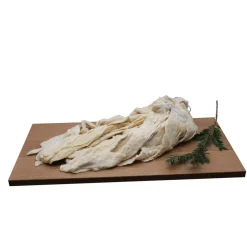 MA CHARCUTERIE MAISON BOYAUX BAUDRUCHE DE BOEUF
