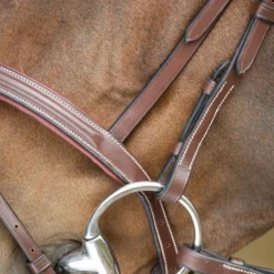 HFI BRIDON ANATOMIC HAVANE