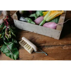 ANDREE JARDIN BROSSE A LEGUMES EN BOIS HETRE