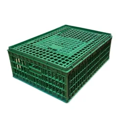 TERZEO VOS ANIMAUX CAGE TRANSPORT OIE 96X57X42