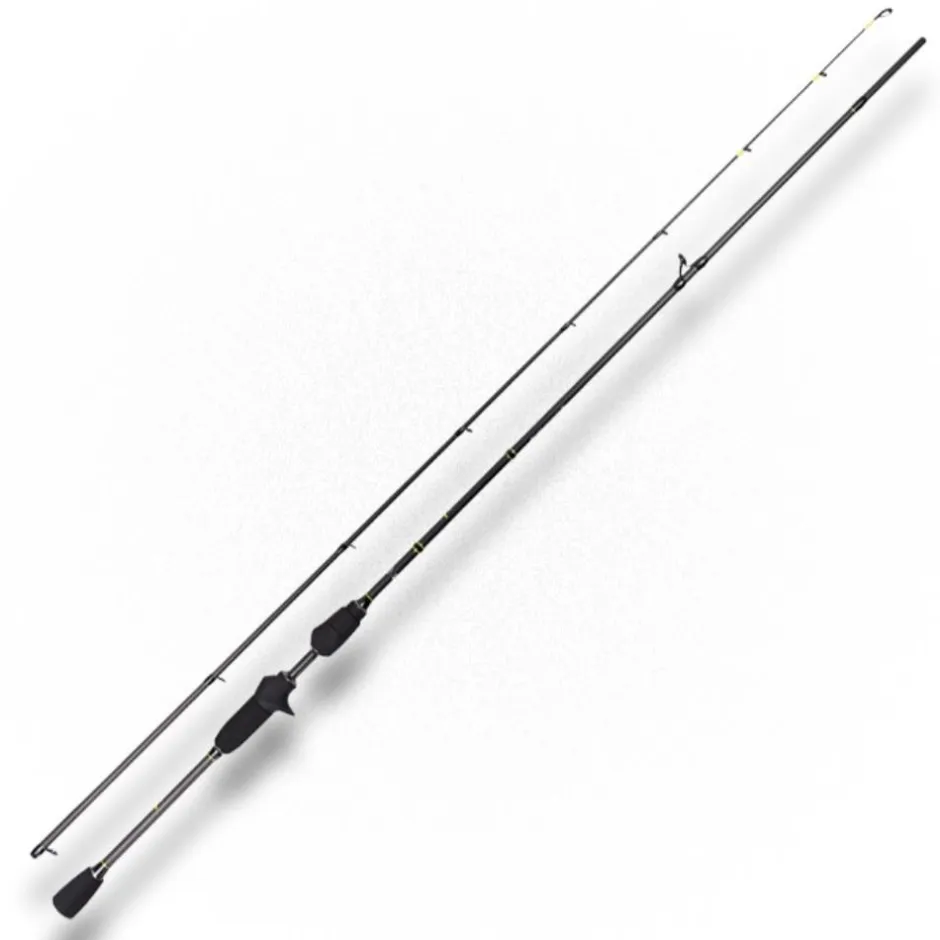 LMAB CANNE CAST LA MOUSTIQUE 2M30 20-80G