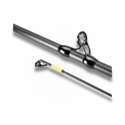 LMAB CANNE CAST LA MOUSTIQUE 2M30 20-80G